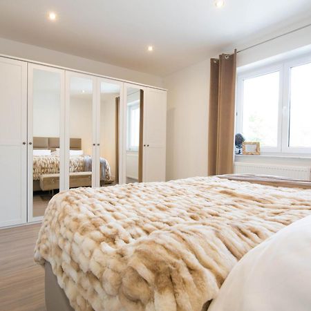 Luxury Luisenthal Lejlighed Völklingen Eksteriør billede